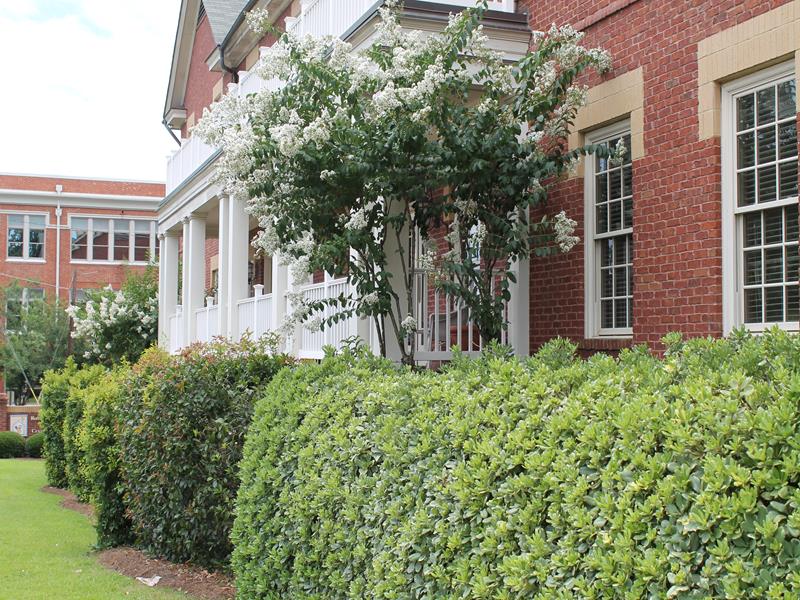 Exterior - Forsyth Street